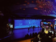 -烟台海昌鲸鲨海洋公园