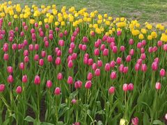 -长春公园(普阳街道)