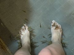 -中家鑫园温泉酒店鑫悦汤泉