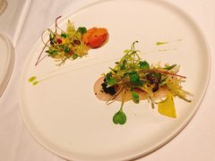 -蝶舍·MAISON PAPILLON