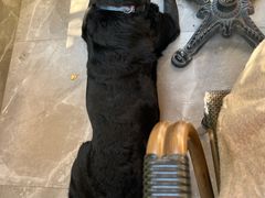 -T-COFFEE(长江花园店)