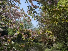 -长白岛森林公园