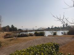 -云里小坐·海泉湾·团建·宴席·下午茶(金堂海泉湾店)