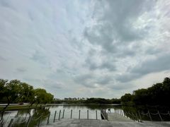 -东华大学(松江校区)