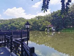 -侨美·唐荔园·40年地道粤菜