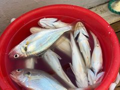 -旺角小渔村·海肠捞饭开创者(环山路店)