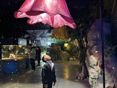 -顺德南宏海立方海洋公园