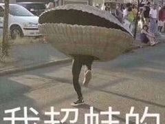 -高新·活力城Village