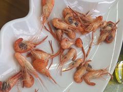 -八仔大富楼·河鲜(西江店)