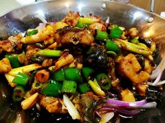 -丁老爷子苏香圆