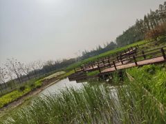 -上海长兴岛郊野公园