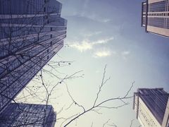 -天津君隆威斯汀酒店
