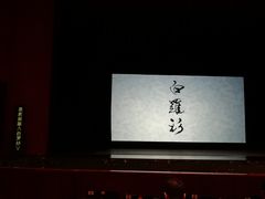 -合肥大剧院