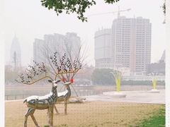 -西北湖绿化广场