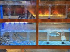 -樽宴酒楼·地道川菜·品质宴请