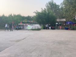 -上美四季动物农场