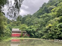 -黔灵山公园