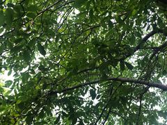 -十三陵山水雅园农家院