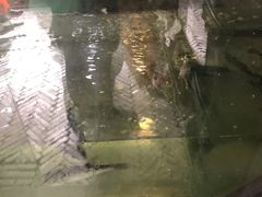 -观桥阁(锦溪店)