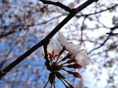 -滆湖低碳生态公园