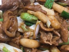 -丁老爷子苏香圆