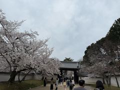 -醍醐寺
