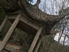 -天台山赤城山景区