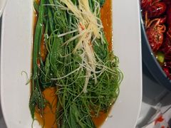 -杨氏青龙虾·羊蝎子(金盛路总店)