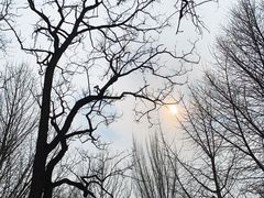 -玲珑塔公园