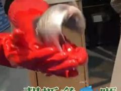 -盒马鲜生(莱蒙都会店)