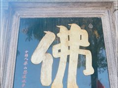 -九华山风景区