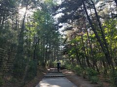 -帽儿山国家森林公园