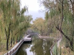 -迎泽公园