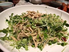 -鸽子窝(青塔店)