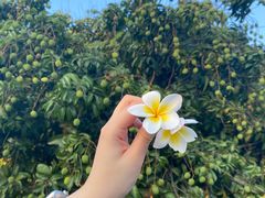 -松山湖凯悦酒店·Café自助餐厅·周末火舞秀表演