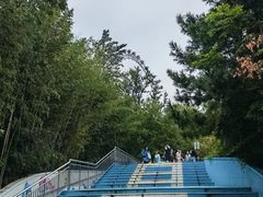-日照海滨国家森林公园