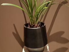 -海立阁海鲜江浙菜(漕河泾印象城店)
