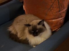 -域SPA·足疗·按摩·养生(静安寺店)