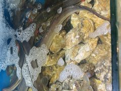 -福建美食城(老君堂店)