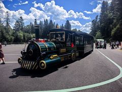 -五营红松林海景区