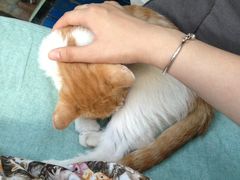 -Sirena海妖日咖夜酒