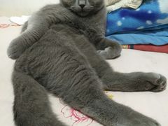 -纳吉亚猫专科动物医院博雅分院