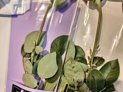 -来相会饺子·新辽菜(甘家口店)
