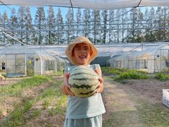 -前小桔亲子创意农场·草莓采摘·露营烧烤