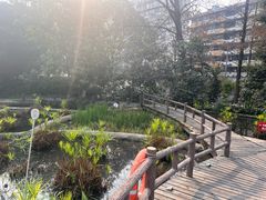 -成都市活水公园