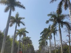 -厦门大学(思明校区)