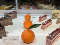 -TD66高山铁皮石斛养生茶饮