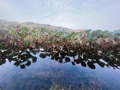 -浙江省博物馆(孤山馆区)