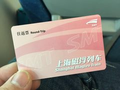 -龙阳路磁悬浮列车总站-停车场