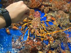 -79号渔船海鲜饭店(华强北店)